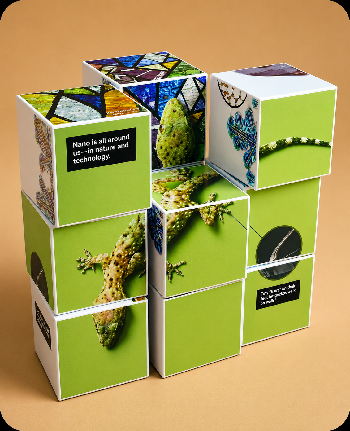 Interactive Knowledge Cube